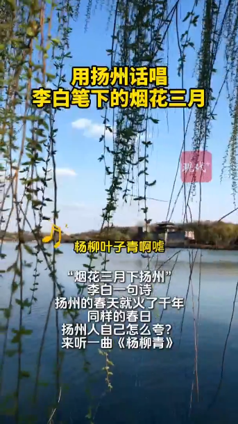 预览图