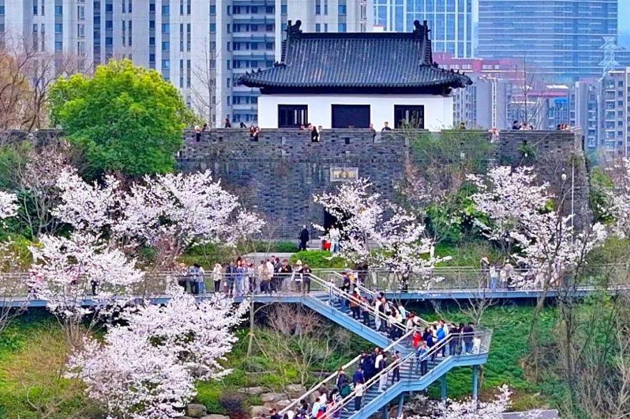 预览图
