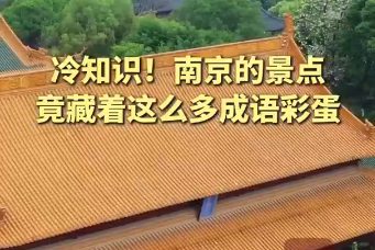 预览图