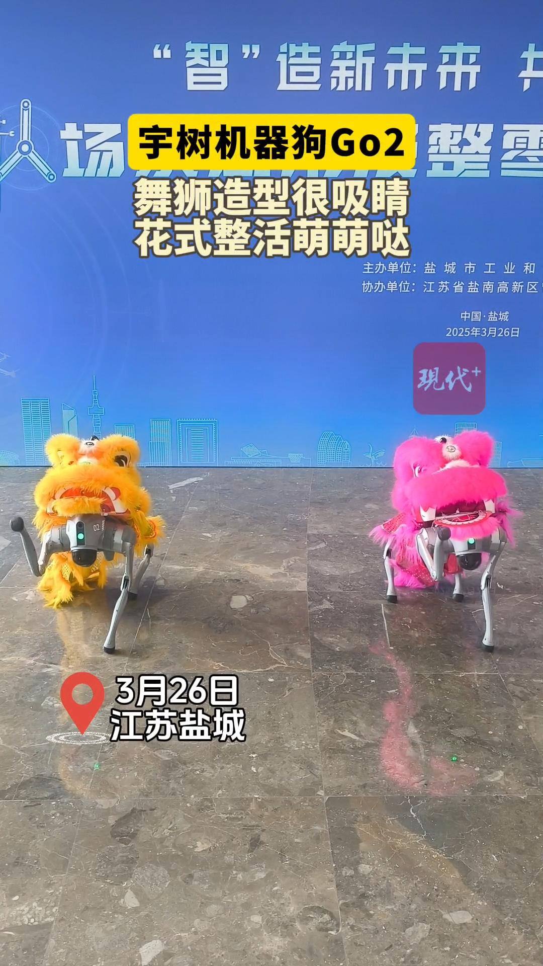 预览图
