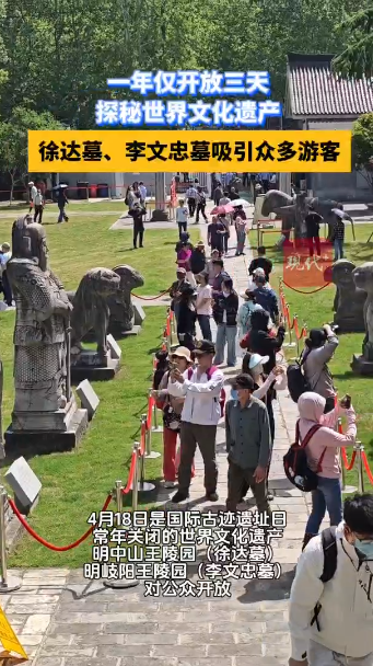 预览图