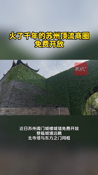 预览图