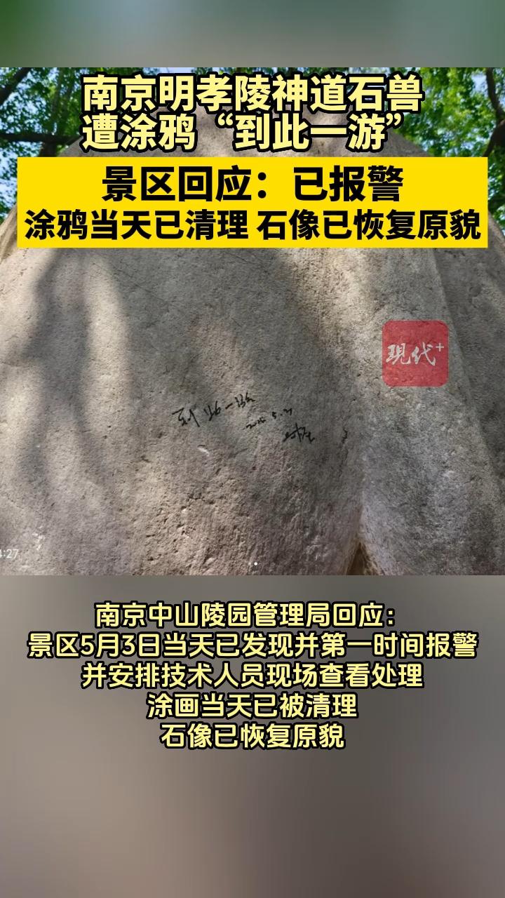 预览图